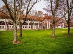 Photo of the Quad